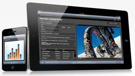 Filemaker go