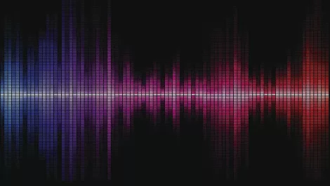 Voice