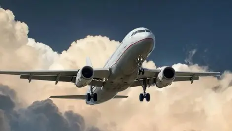 What of the workforce as borders re-open?